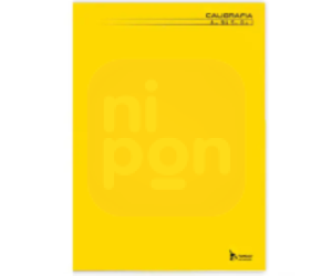 Caderno Caligrafia Brochura 96 Fls Capa Dura cores