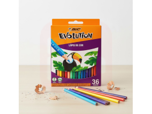 Lapis De Cor Evolution Sextavado 36 Cores - BIC